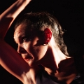 flamenco (114)